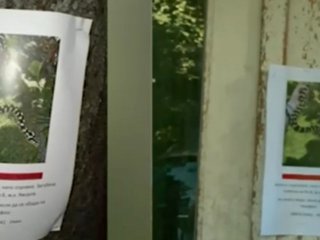 Змия е избягала от апартамент в столичния квартал Яворов Собственикът