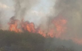 При разследване на причините за пожара е установено, че съпричастни за неговото запалване, са двама жители на село Чирен, се посочва в съобщението.