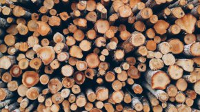 158 общини в страната имат гори, от тях само 15 снабдяват местното население с дърва за огрев