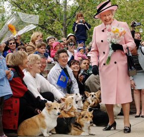 "Те са красиви и много забавни, а кралицата често прави дълги разходки с тях в Хоум Парк.
 