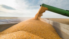 
Асоциацията на зърнопроизводителите е обединила 12 членки на Европейския съюз под обща декларация, която ще бъде внесена на 15-и септември на неформален съвет на министрите на земеделието от ЕС