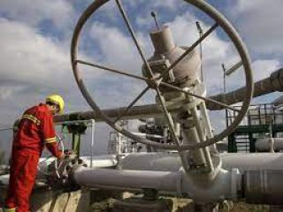 Турският държавен вносител на природен газ Botas обмисля да поиска