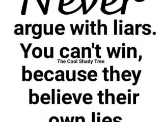 Никога не спорете с лъжци Не можете да спечелите защото