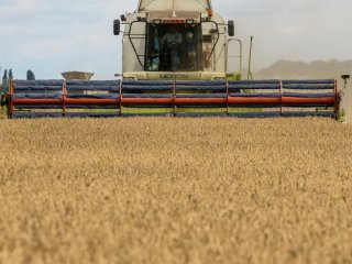 Сделката за зърното между Москва и Киев не е постигнала