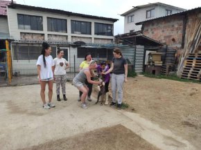 кипът на СНЦ Pet sisters е добре познат на гражданското общество с работата си в помощ на бездомните животни