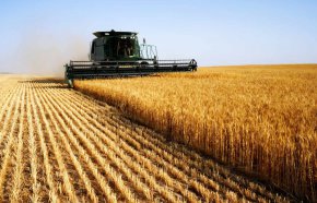 Индексът на цените на производител в селското стопанство за третото тримесечие на 2022 г. се повишава с 45,5% спрямо същото тримесечие на 2021 г. и с 39% спрямо предходната година, отчете НСИ