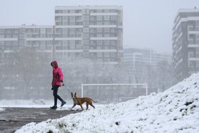 В четвъртък в много части на Украйна, включително в столицата Киев, падна първият за сезона сняг.
