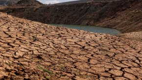 
Изследването разкрива, че доставките на повърхностна вода в Централната долина като цяло са намалени с 43% през 2021 и 2022 г. , което принуждава калифорнийските фермери да оставят над 1,3 милиона декара незасадени площи - най-много незасадени площи в последно време.