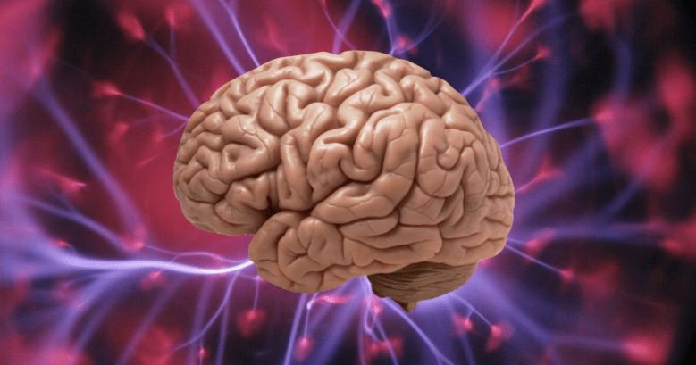 Много експерти изчисляват, че мозъците ни обработват пет пъти повече