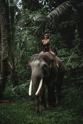 Тя е възседнала слон, чиито бивни, макар и рязани, придат доплнителна идея за посланието й.