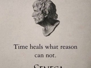 Времето лекува това което разумът не може Сенека