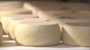 "Цената му няма да се различава много от тази на другите сирена", каза Сидорова и добави, че масовото производство на сиренето може да започне "във всеки един момент".