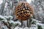 Хотелски апартамент с къщичка за птици, окачен в гората на Харадс, Швеция