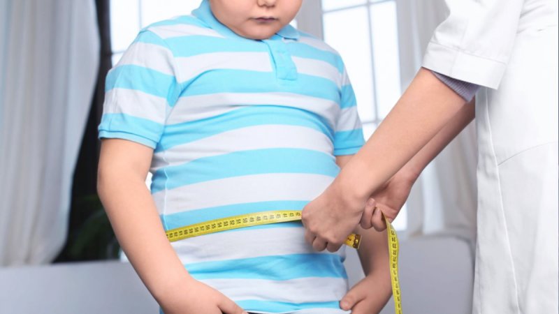 61,7% от българите са с наднормено тегло, показват данни на