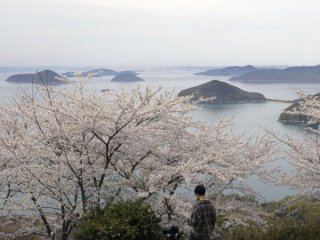 Япония преброи островите си и откри, че те са със