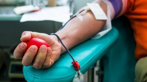 За последната година болница "Пирогов" е използвала близо 1700 литра кръв и 761 литра плазма. В световен мащаб кръводаряването е все по-препоръчителен метод за регенериране на клетките в човешкия организъм.
