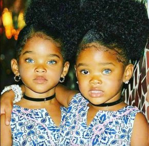 "Сините близнаци" завладяха света