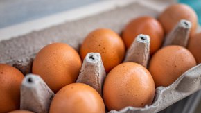 Един от най-големите вносители на яйца от Украйна заяви, че те се подлагат на контрол и отговарят на всички условия.