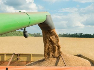 Обмисляме забрана за внос на украинско зърно каквато вече обявиха