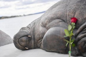 Артистката, която стои зад скулптура на морж, евтаназиран по спорен начин поради съображения за обществена безопасност, казва, че се надява творението ѝ да се превърне в "триизмерен урок по история", след като бе представено в норвежката столица Осло.