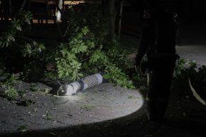 Полицаи изследват фрагменти от руска ракета, паднала в градската зоологическа градина, след като е била свалена от системата за противовъздушна отбрана през нощта в Киев, Украйна, на 16 май. (Alex Babenko/AP)