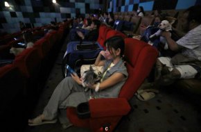 В Тайланд отвориха първото кино за домашни любимци