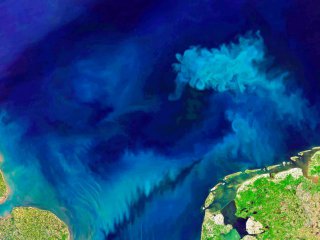 Според ново проучване цветът на океана се е променил значително