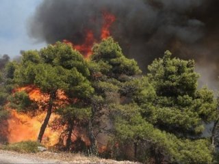 Огънят от горските пожари в южната част на гръцкия остров