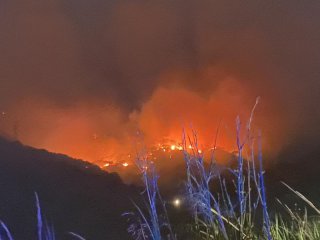 В Италия пожари обхванаха остров Сицилия и полуостров Гаргано в