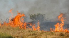 Бедственото положение в областта бе обявено на 26 юли заради над осем пожара, които избухнаха в почти всички общини в областта в същия ден