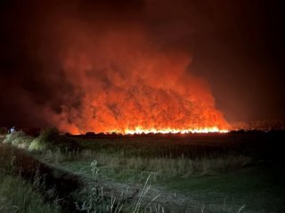 Голям пожар вилня край Разлог и унищожи над 150дка неожънати