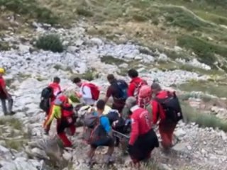 Планински спасители са помогнали на 17 годишно момиче ухапано от