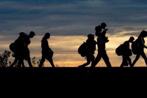 
Според обобщените данни на междуведомственото звено, което функционира от 1 август, задържаните нелегални мигранти у нас са почти 3700, като повечето от тях са от Афганистан, Сирия, Мароко и Пакистан. Задържани за трафик на мигранти са 406 души.

