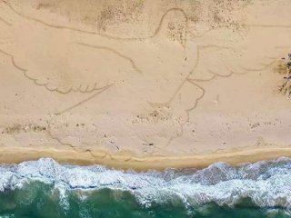 Гълъб на Камчия Най голямата пясъчна рисунка в света