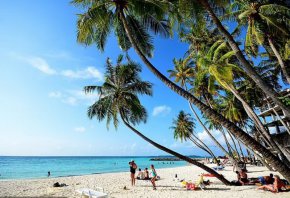 Сред най-популярните местни острови на Малдивите е Маафуши (горе), който предлага изобилие от плажни барове, ресторанти, водни спортове и екскурзии за гмуркане с шнорхел, според Адриана Нептуна, ловец на оферти за Малдивите и TikToker.