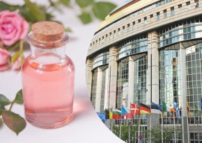 Европейският парламент ще се бори да няма ново законодателство за етеричните масла  и ще иска Европейската комисия да изготви доклад относно въздействието им върху човешкото здраве в срок не по-рано от 6 години.  