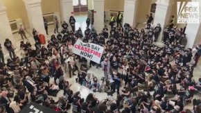 Пропалестински протестиращи нахлуха в Капитолия на САЩ