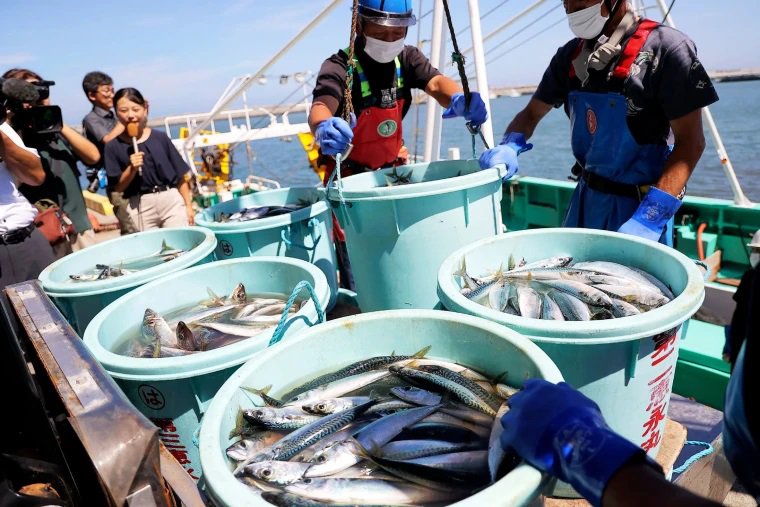 Правителството на САЩ се съгласи да купува японска морска храна