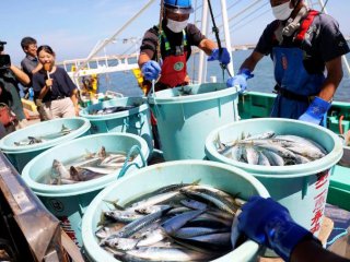 Правителството на САЩ се съгласи да купува японска морска храна
