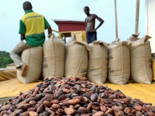 Тази седмица цените на какаото се повишиха до най високото си