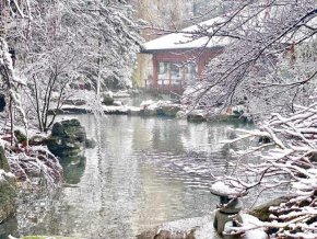 

Японска зима в София: Маринела
