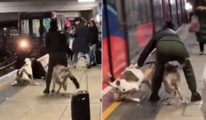    Кучета XL Bully нападнаха мъж на гара в Англия