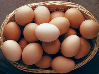 Руското правителство даде зелена светлина за безмитен внос на яйца