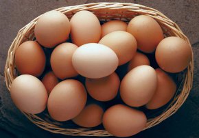 
По-рано ЕИО заяви, че очаква временното освобождаване от мита да спомогне за допълнителни доставки на яйца в Русия от страни като Турция, Иран и други държави извън СИВ на цена, сравнима с тази на местното производство.