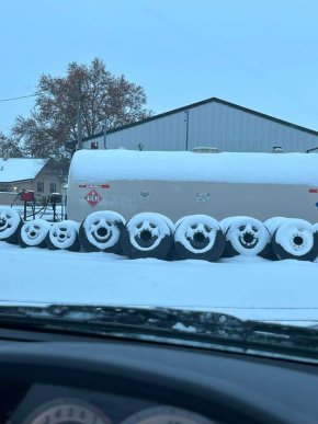 

Гуми като мечета заради снега: Фото на деня