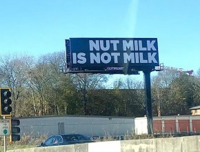 Ядковото мляко не е мляко.