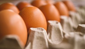 Цената на яйцата