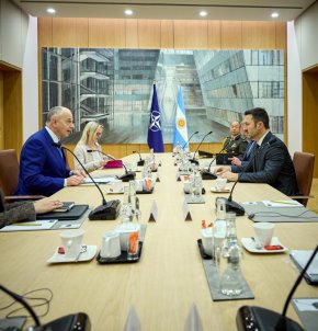  Министърът на отбраната на страната Луис Петри след среща със заместник-генералния секретар на ръководения от САЩ военен блок Мирча Джеоана
