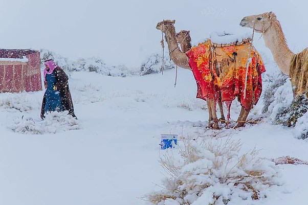 Сняг и лед в Сахара