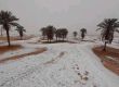 Сняг в пустинята: Алжир